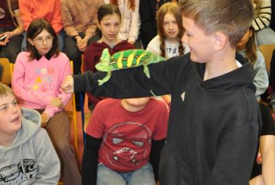 Maskování zvířat