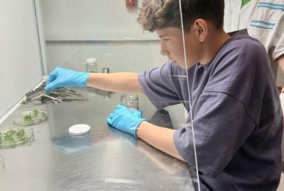 26. 5. 2026 - Exkurze do Ústavu experimentální botaniky v Praze