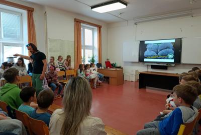 Maskování ve světě zvířat