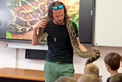 Maskování ve světě zvířat