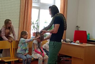 Maskování ve světě zvířat