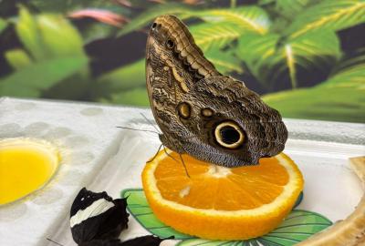 Výlet do Karlštejna
