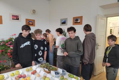 7. A na zahrádkářské výstavě