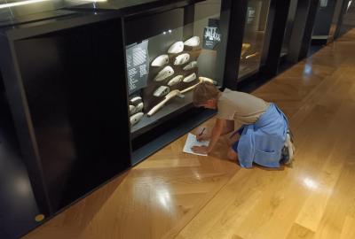 Úvod do pravěku - Národní Muzeum: Lidé a jejich předci