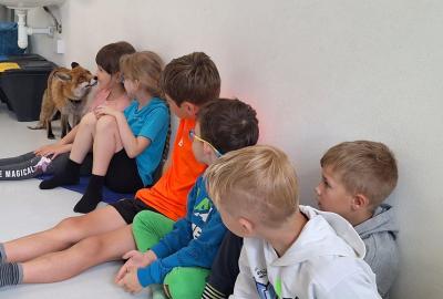 Program "Liška"