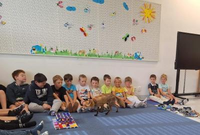 Program "Liška"