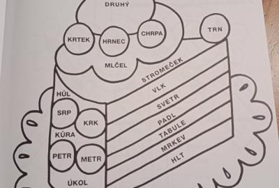 Učební plán v týdnu 5. 1. - 9. 1. 2026
