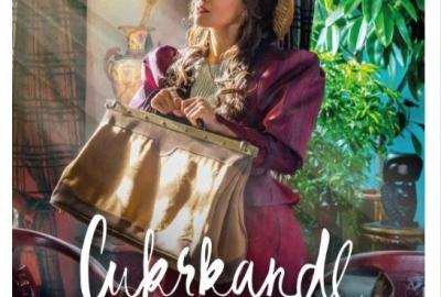 19.12. Vánoční kino - dárek Městyse Liteň