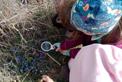 Přírodovědná vycházka do jarní přírody