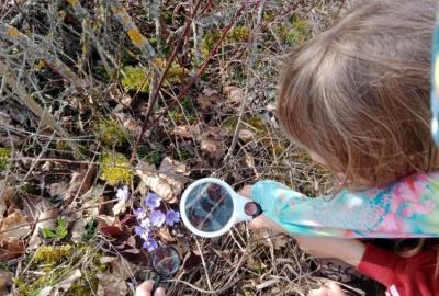 Přírodovědná vycházka do jarní přírody