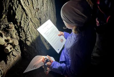 Noc s Andersenem - průběh