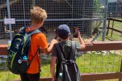 zoopark3